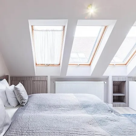 Sunny And 3-bedroom Penthouse With Garage 公寓 布达佩斯