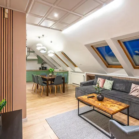 Sunny And 3-bedroom Penthouse With Garage 公寓