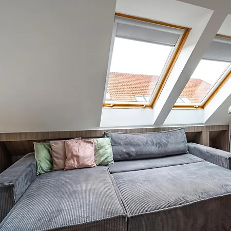 Sunny And 3-bedroom Penthouse With Garage 公寓