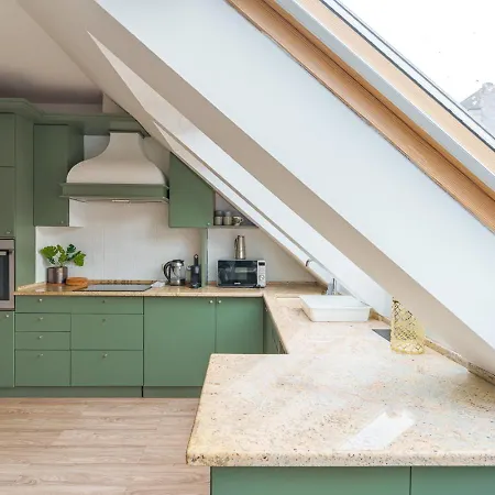 Sunny And 3-bedroom Penthouse With Garage 公寓 布达佩斯