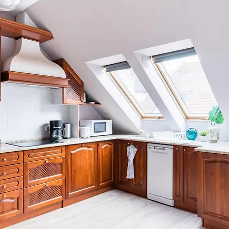 Sunny And Penthouse With Private Garage *