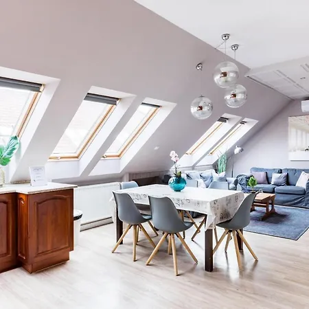Sunny And Penthouse With Private Garage *