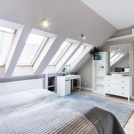Sunny And Penthouse With Private Garage