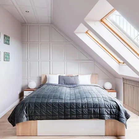 Sunny And Penthouse With Private Garage Apartment