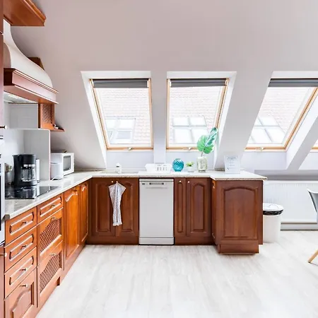 Sunny And Penthouse With Private Garage *