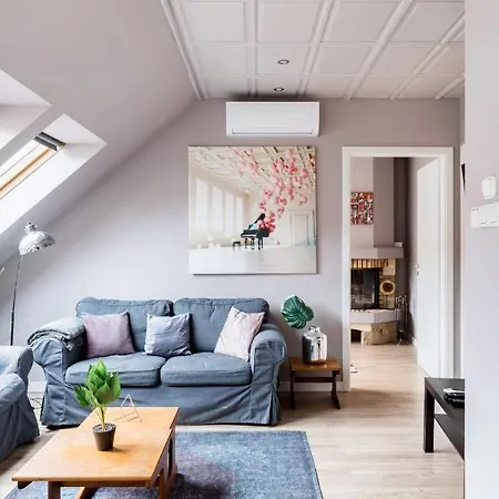 Sunny And Penthouse With Private Garage * Budapest