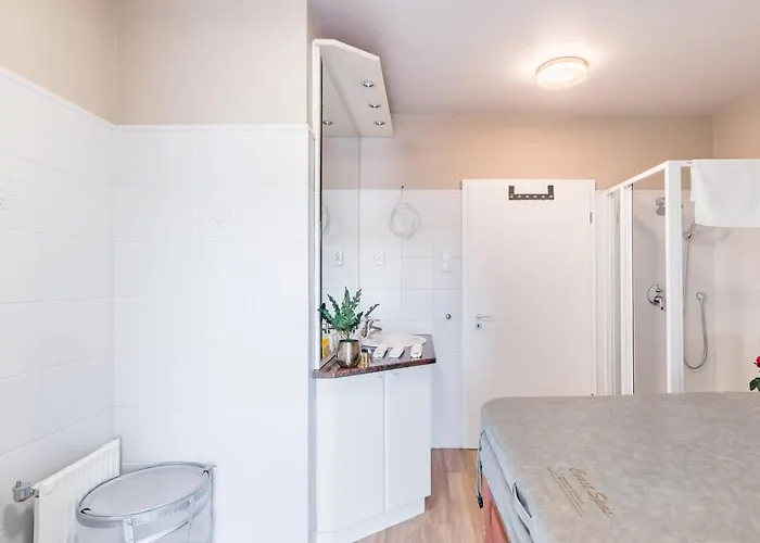 Sunny And 3-bedroom Penthouse With Garage Apartment *