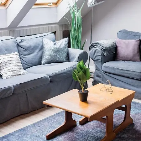 Sunny And 3-bedroom Penthouse With Garage * ブダペスト