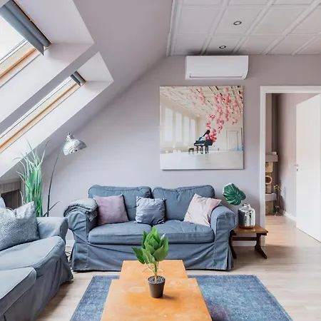 Sunny And Penthouse With Private Garage