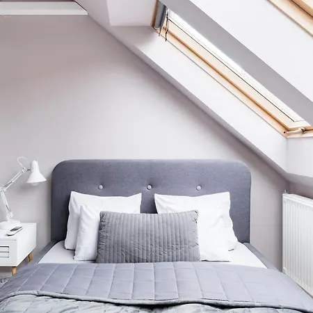 Sunny And 3-bedroom Penthouse With Garage * ブダペスト