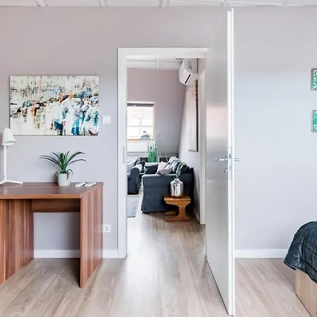 Sunny And 3-bedroom Penthouse With Garage アパート