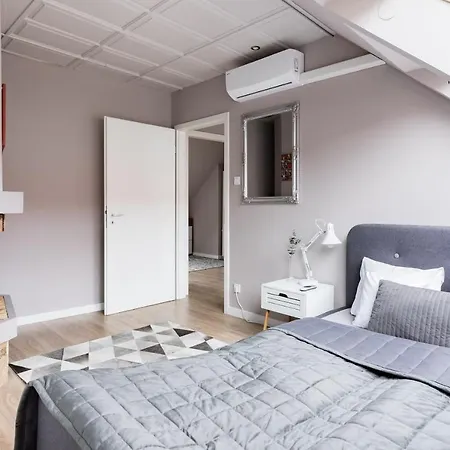Sunny And Penthouse With Private Garage