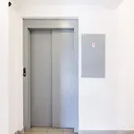 Apartament Sunny And 3-bedroom Penthouse With Garage