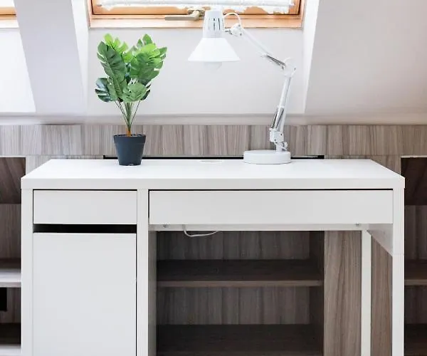 Sunny And 3-bedroom Penthouse With Garage Appartement *